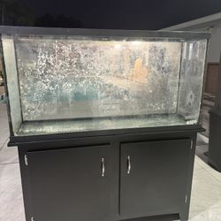 60 gallon fish tank