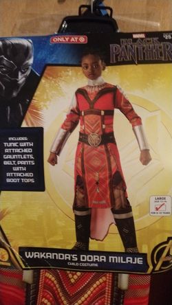 New Halloween costume black panther Dora milaje