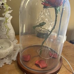 Rose In Tall Glass Setting 