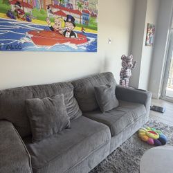 Modern Gray Pull Out Sleeper Sofa