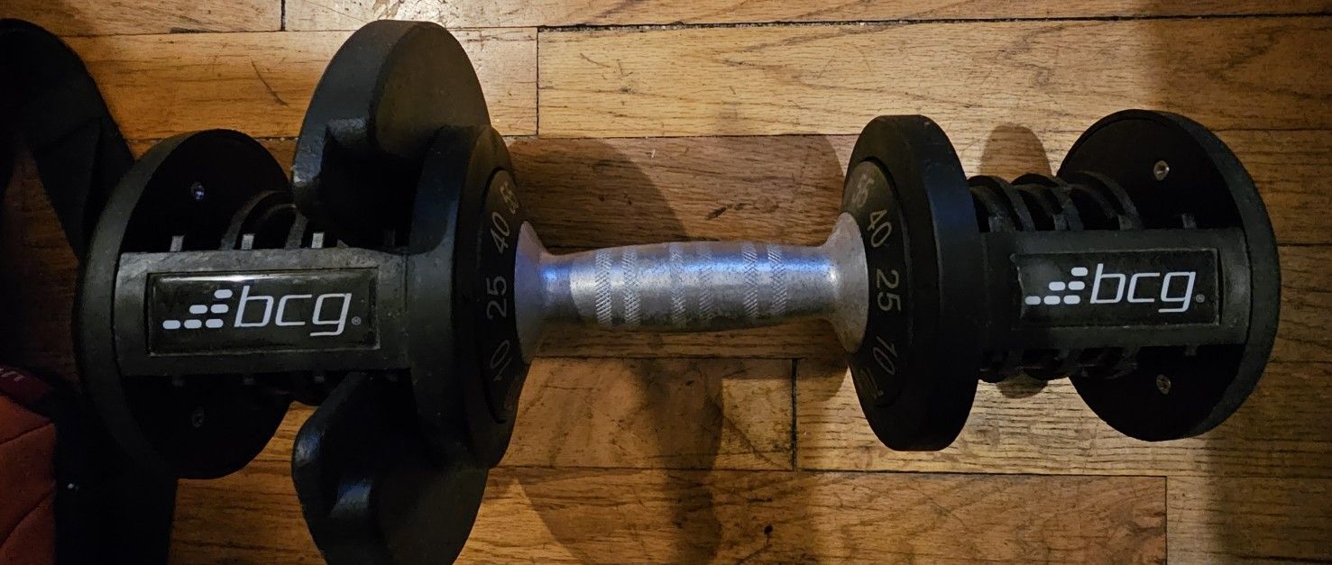 Bcg Dumbbell  Locking Wieghts