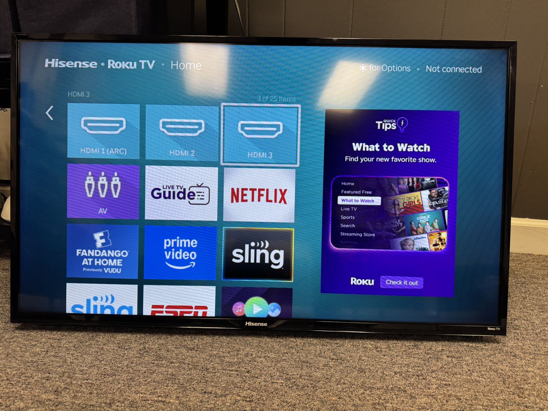 39 Inch Hisense Roku TV