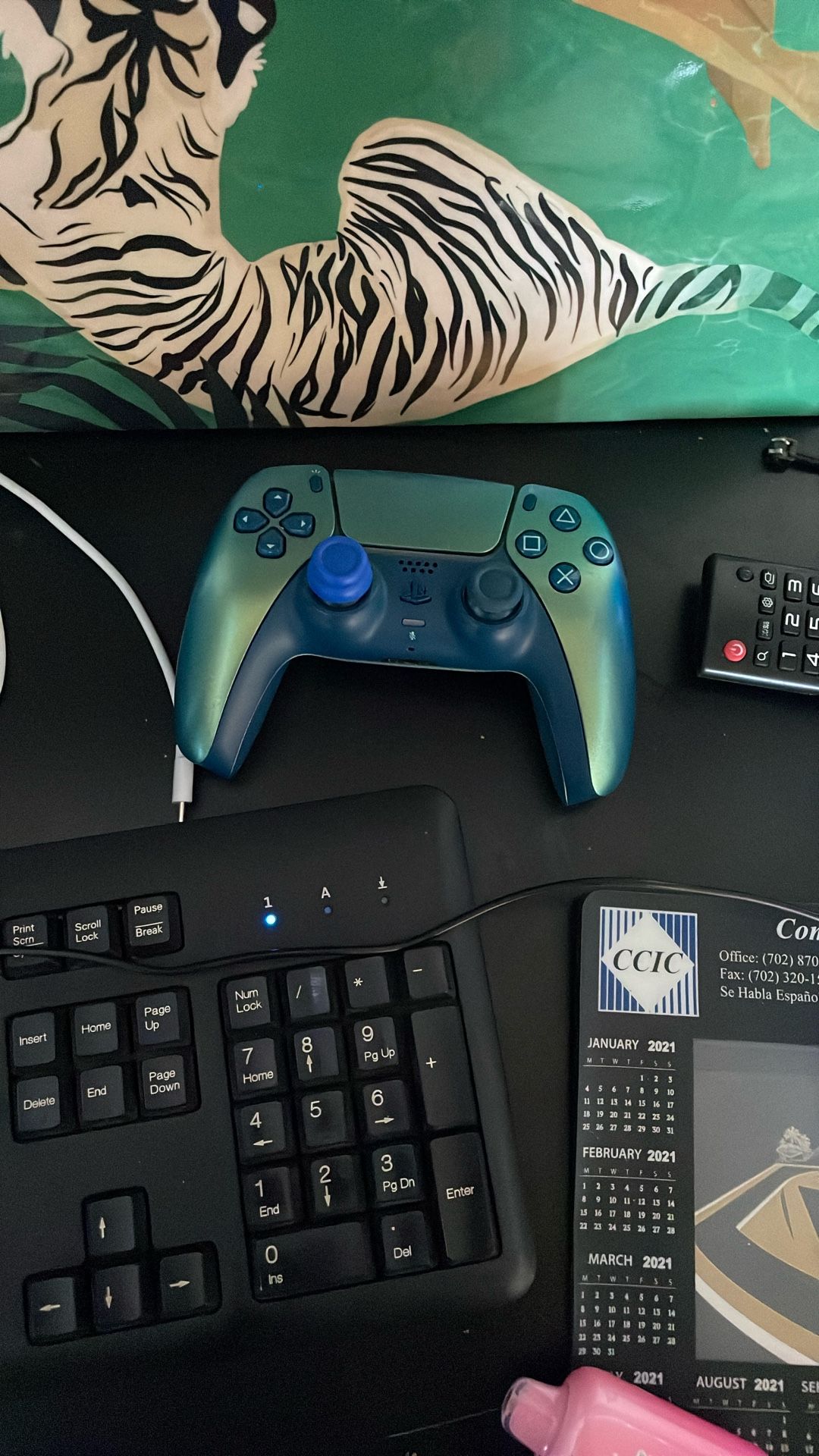 PlayStation Controller
