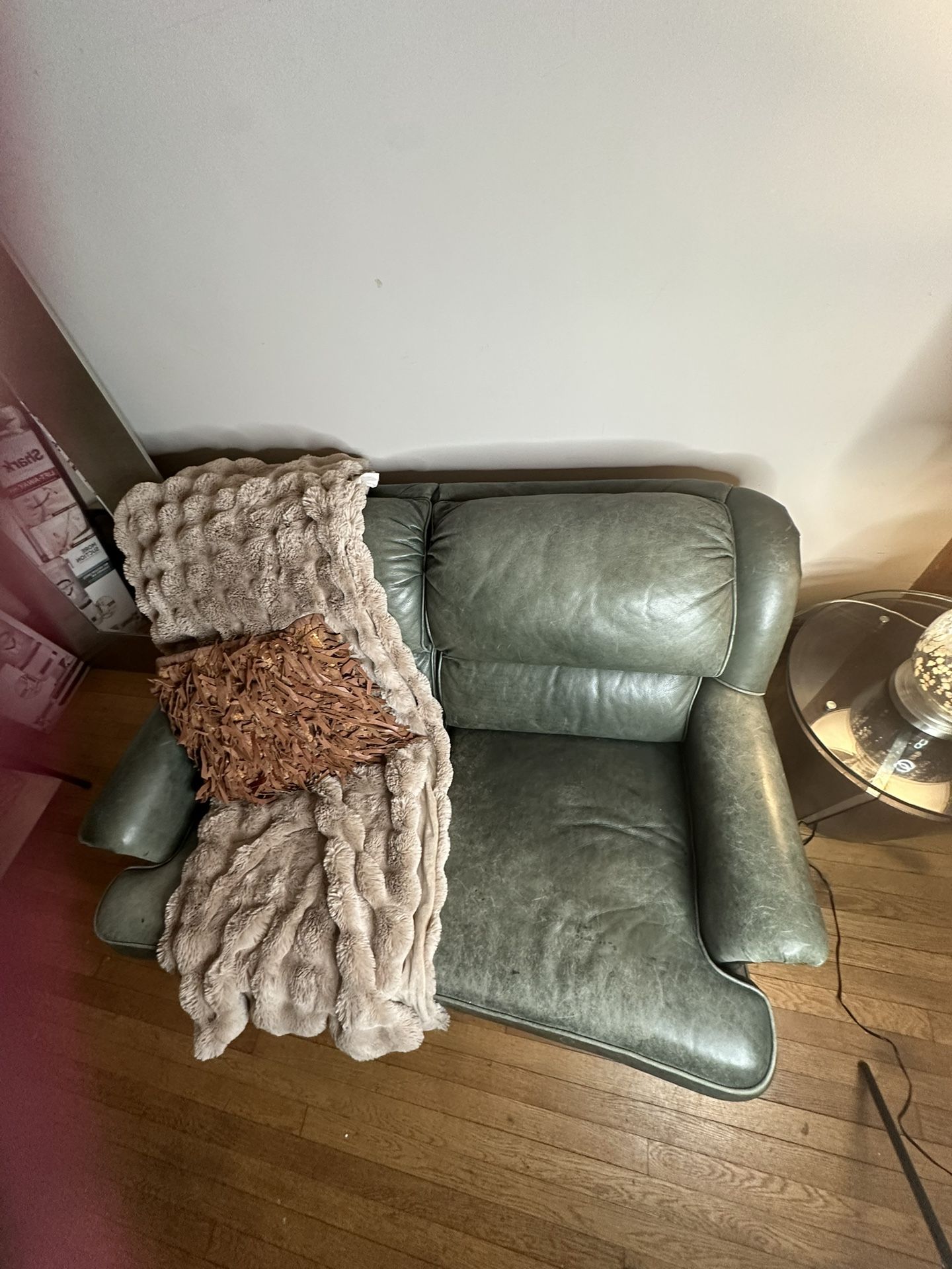 Mckinley Leather Green Genuine Leather Loveseat – Comfy, Sturdy, Priced to Sell!