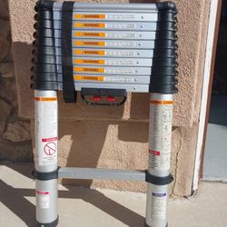 Telescoping Ladder