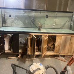 240 Gallon* Glass Aquarium