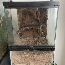 Reptile Terrarium
