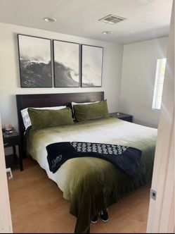 King comforter and 2 pillow cases duvet