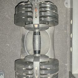 Dialtech Elite adjustable dumbbell