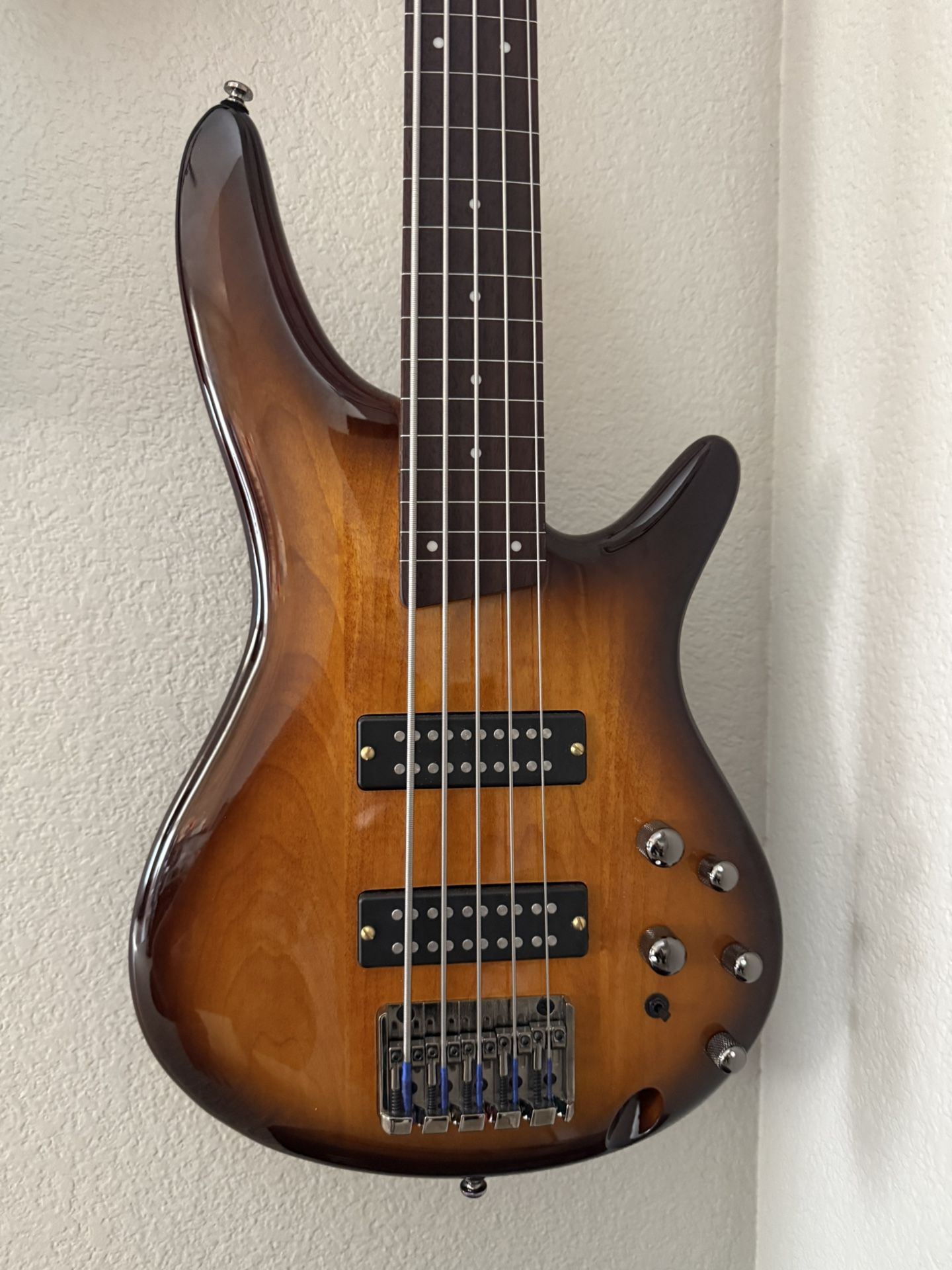 Ibanez 5 String Fretless