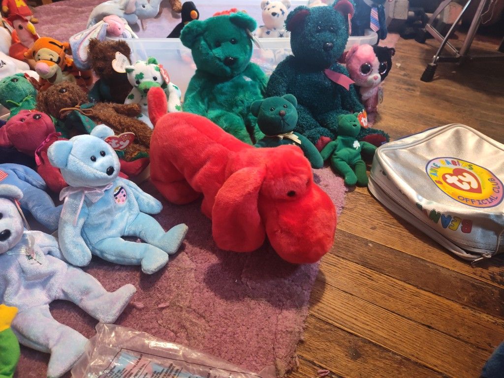 Beanie Babies 76 And There's More Items To Go With It And