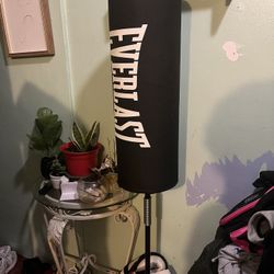 Everlast Boxing Puching Bag