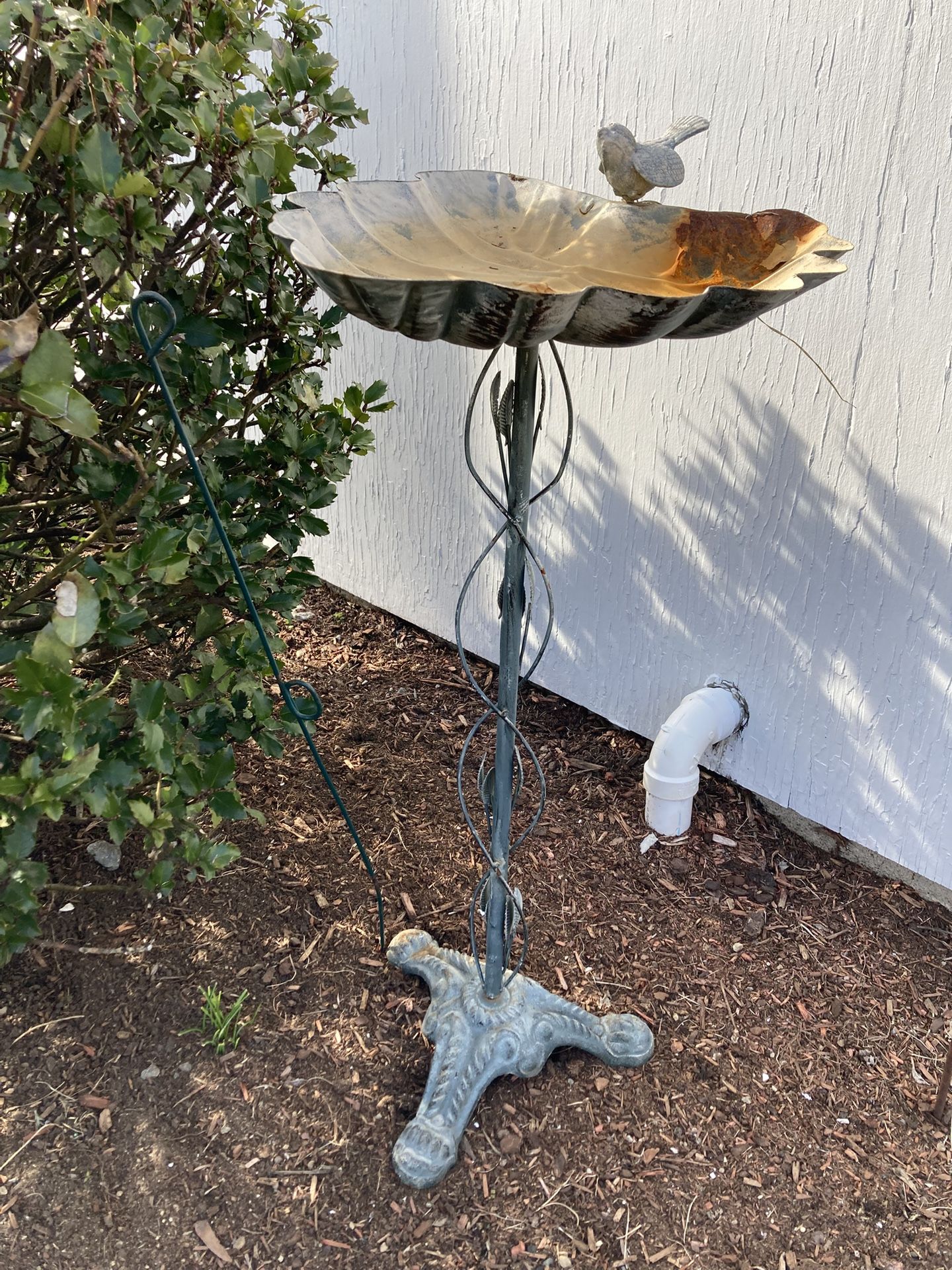 Bird Bath