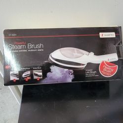 steam brush