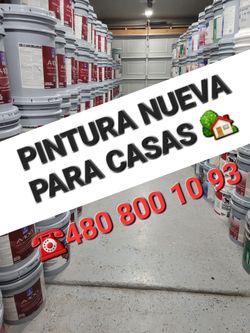 Pintura ala venta