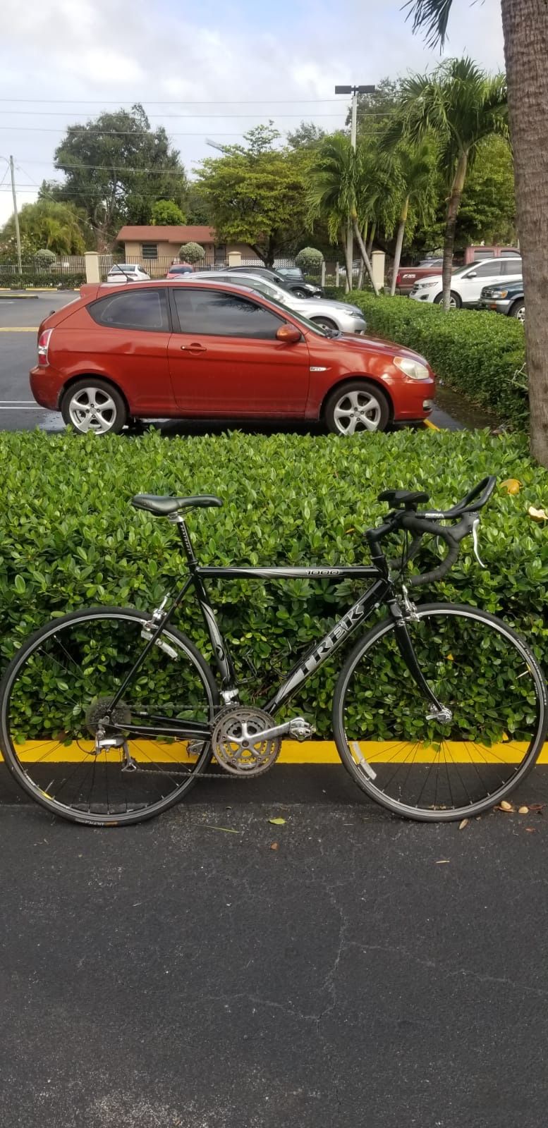 Road Bike Trek 56cm