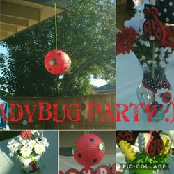 Ladybug party decorations