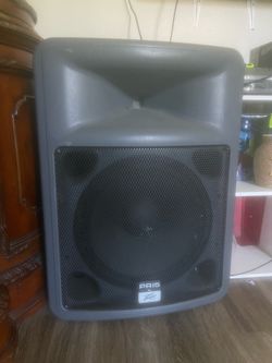 Speaker Peavy R15