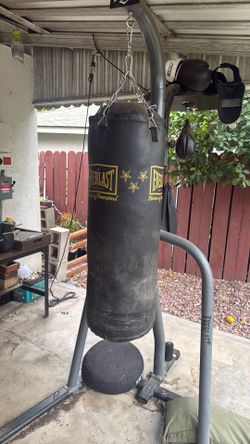 Everlast Punching Bag