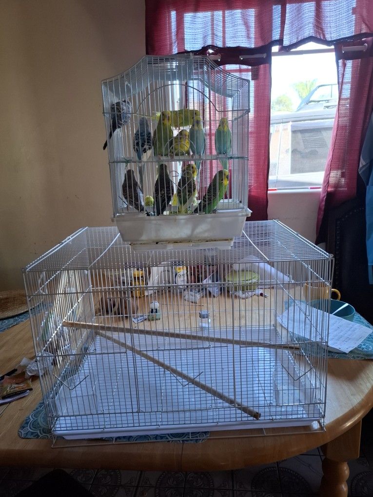 BEAUTIFUL CAGES FOR COCKTAILS AND PERIQUITS USED LIKE NEW 