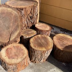 Wood Stumps 