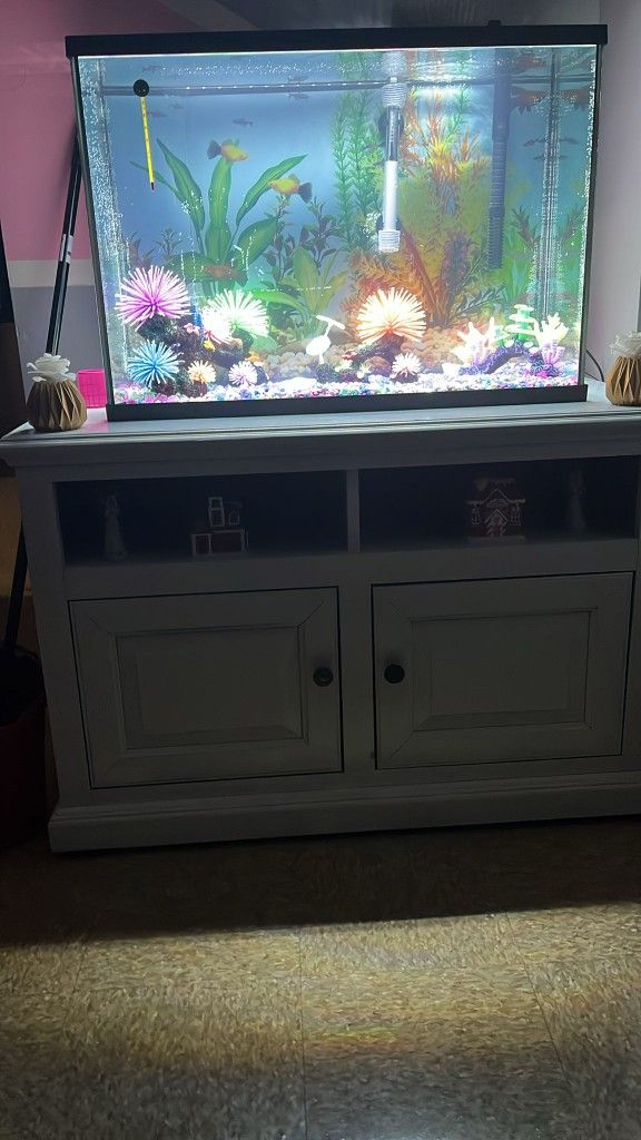 Fish tank and table all complete