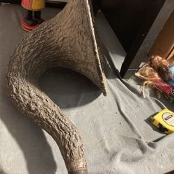 Vintage Loud Speaker Horn