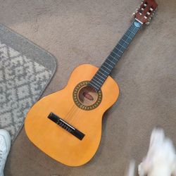 Stag Guitar New