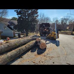 Tree Work 