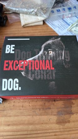 Training dog collar
