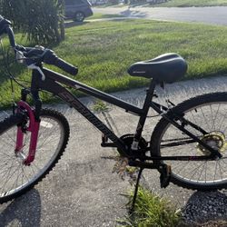 26” Schwinn Mountain Bike