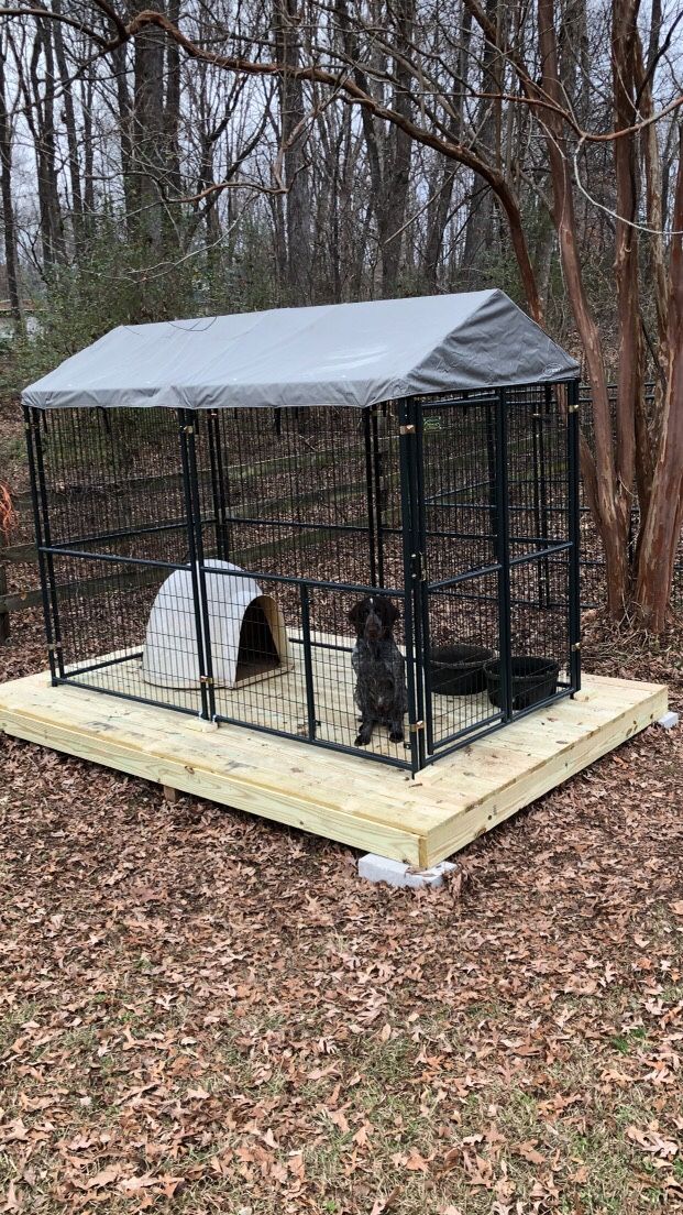 Dog Cage