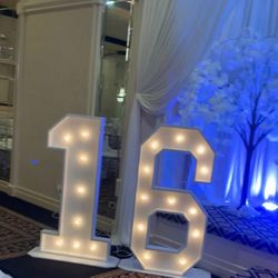 4ft. Marquee Letters/numbers. 