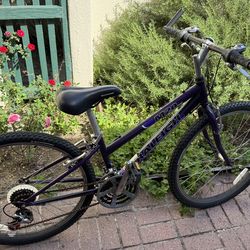 Raleigh M20 Mountain Trail Bike - 7 Speeds