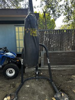 Free Heavy bag With Stand