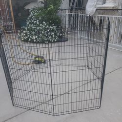 Dog Pen