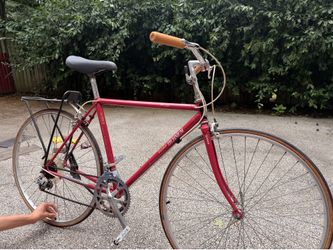 Raleigh technium toad bike - vintage