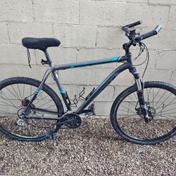 Trek Mamba 29er Mountain Bike 58cm