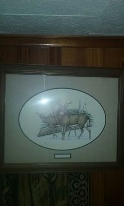 Deer picture