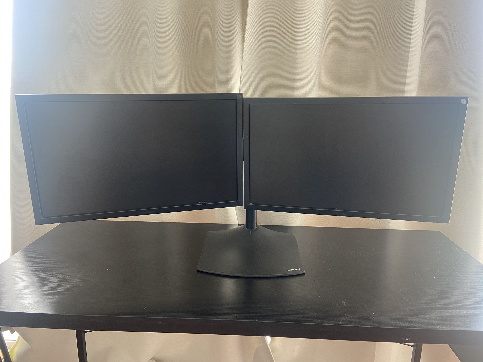 Dual 24” Computer Monitors + Stand