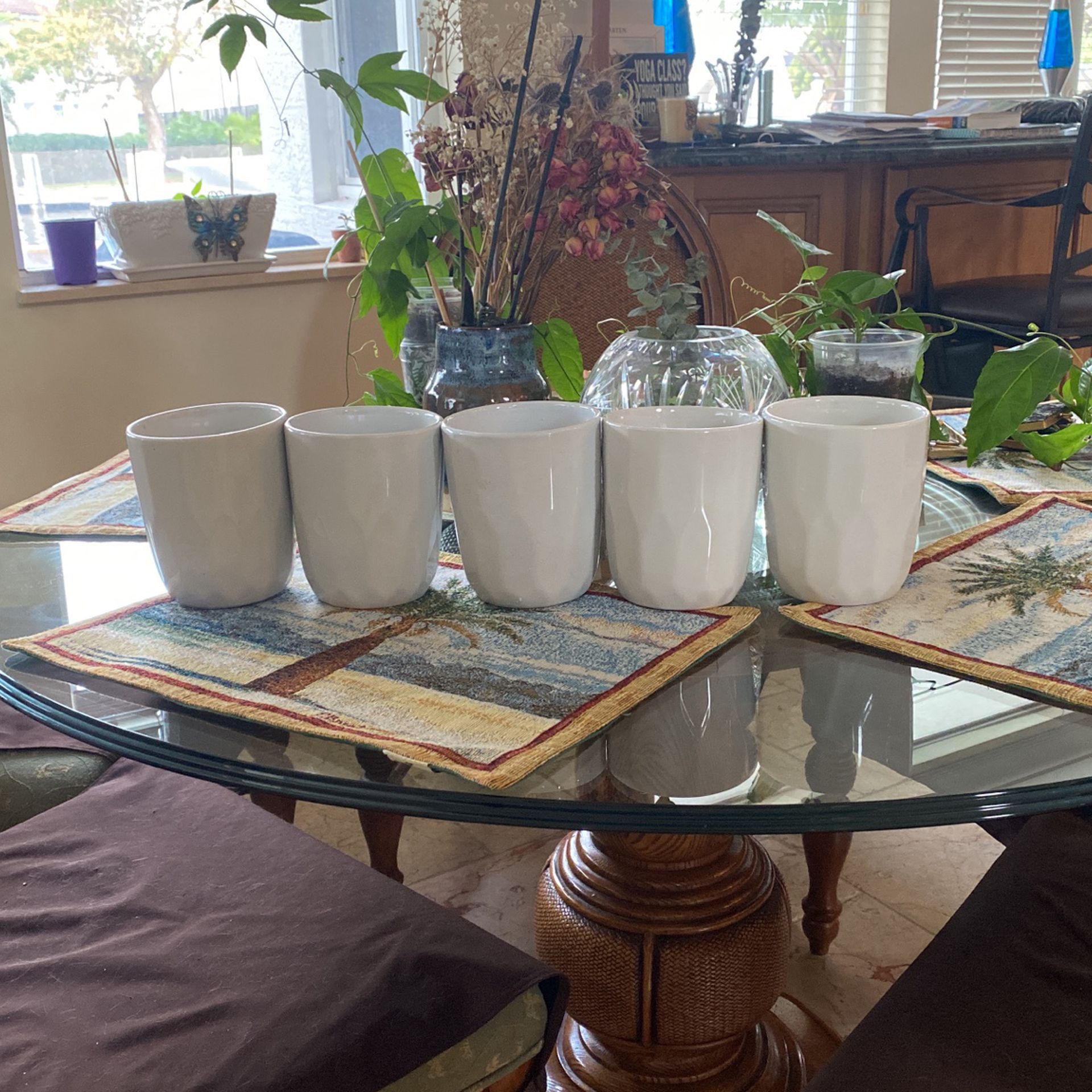 5 White Ceramic Planter Pots