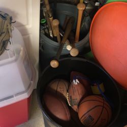 Bats And Balls