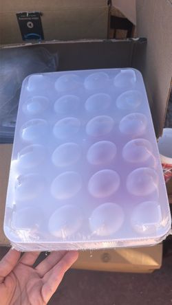 Clear Plastic Egg Storage Container Tray