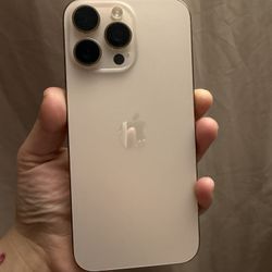 iPhone 16 Pro Max Desert Titanium 