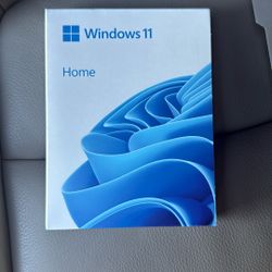 Windows 11 Home Edition 