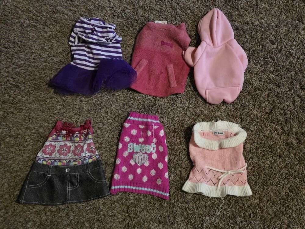 Small Dog dresses