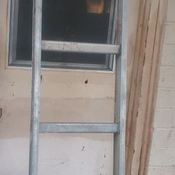 $20 Ladder
