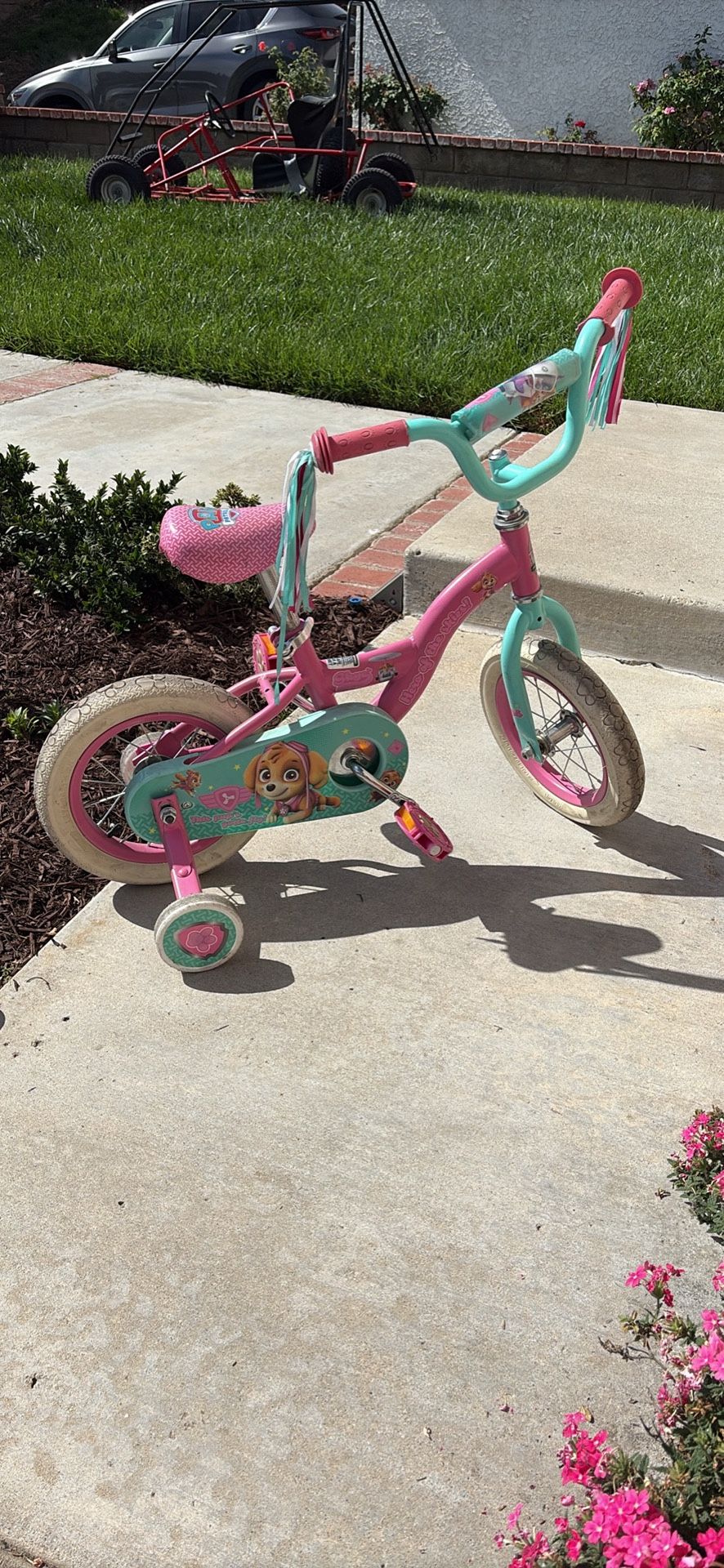 12” Schwinn Bike