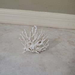 Fake Coral