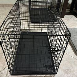Dog Kennel